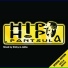 Hip Hop Pantsula