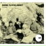 Signe Flatin Neset