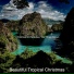 Beautiful Tropical Christmas