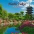 Hashi Yukio