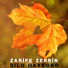 Zarife Zerrin