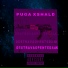 KING PUGA, Shald