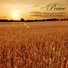 Peaceful Music Orchestra