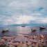 Andrey Derkach