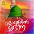 Shifin Roshan