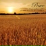 Peaceful Music Orchestra