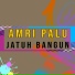 Amry Palu