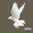 Tato Spark feat. Yung Stells