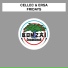 Celec Vs. Ersa