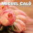Miguel Calo