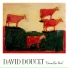 David Doucet