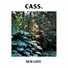 Cass.