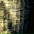 BSKD