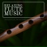 Yoga Music Guru, Wellness N Wellness