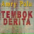 Amry Palu