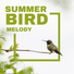 Bird Song Group