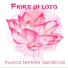 Wellness Spa Oasis, Anti Stress Music Zone