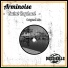 Arminoise