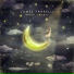 James Farrelli, Michelle Simonal