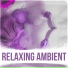 Time of Relax Universe
