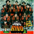 Banda Rino
