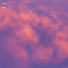 Fluttr