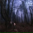 17NIGHTLIGHTS