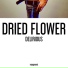 Dried Flower