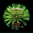 J.Robinson WhoDemSound