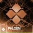 Phloem