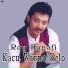 Roy Hanafi