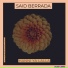 Said Berrada