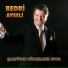 Bedri Ayseli