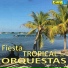 Pedro Salcedo y su Orquesta feat. Wilson Choperena