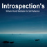 The Method of Introspection