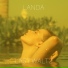 Landa