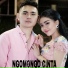 Nanda Feraro feat. Syahiba Saufa