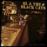 Al & the Black Cats