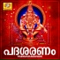 Santhosh Keshav
