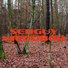 sedguy