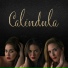 Caléndula