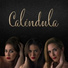 Caléndula