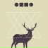 Gzn3