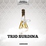 Trio Surdina