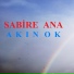 Akın Ok