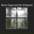 Buck Angel and the Wingmen