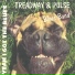 Treadway & Pulse Blues Band