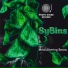 SyBins