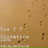 Rev T T Chivaviro
