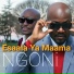 NGONi